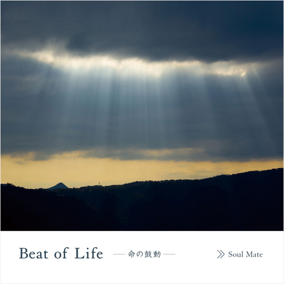 Beat of Life －命の鼓動－